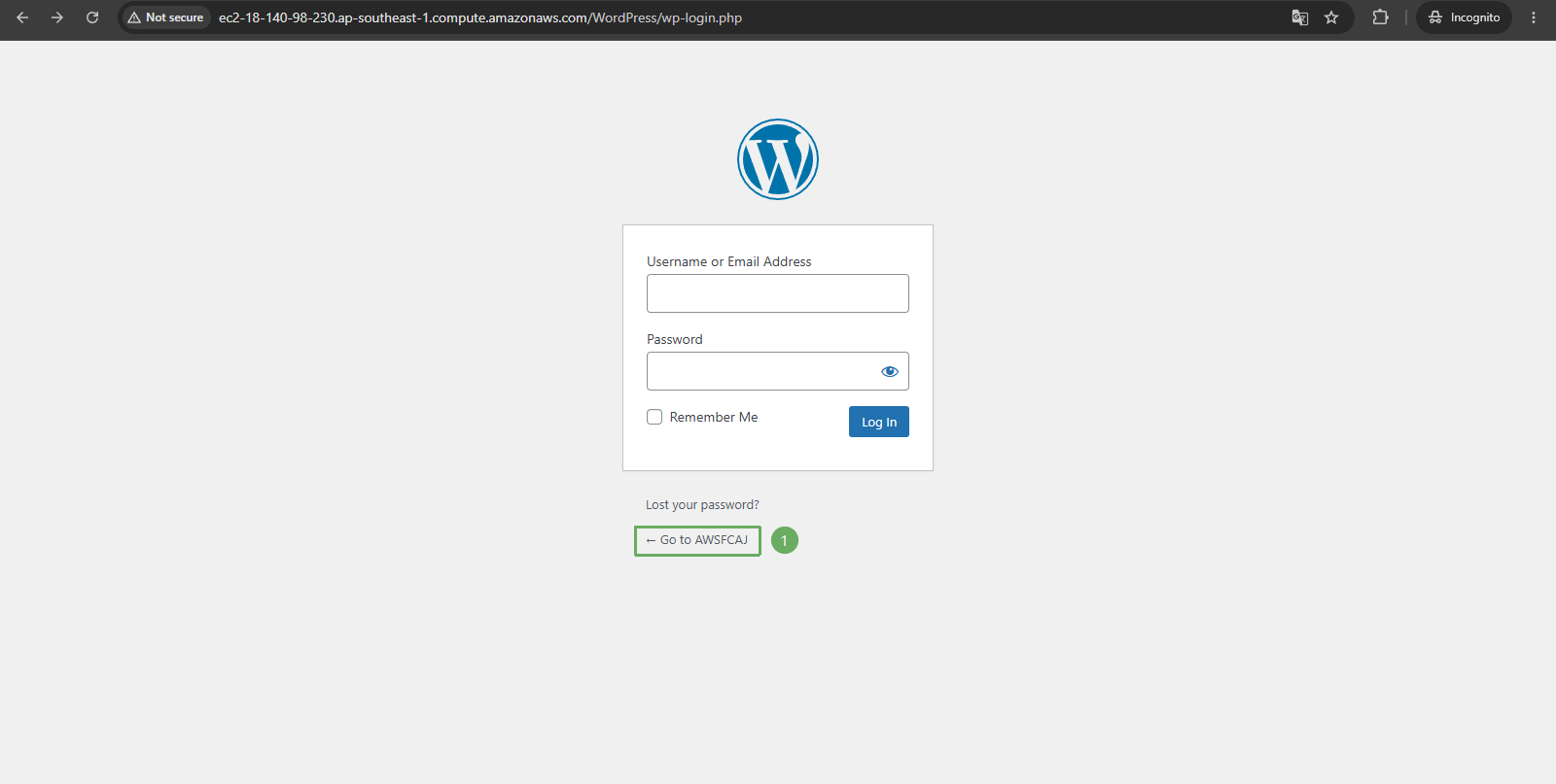 CodeDeploy